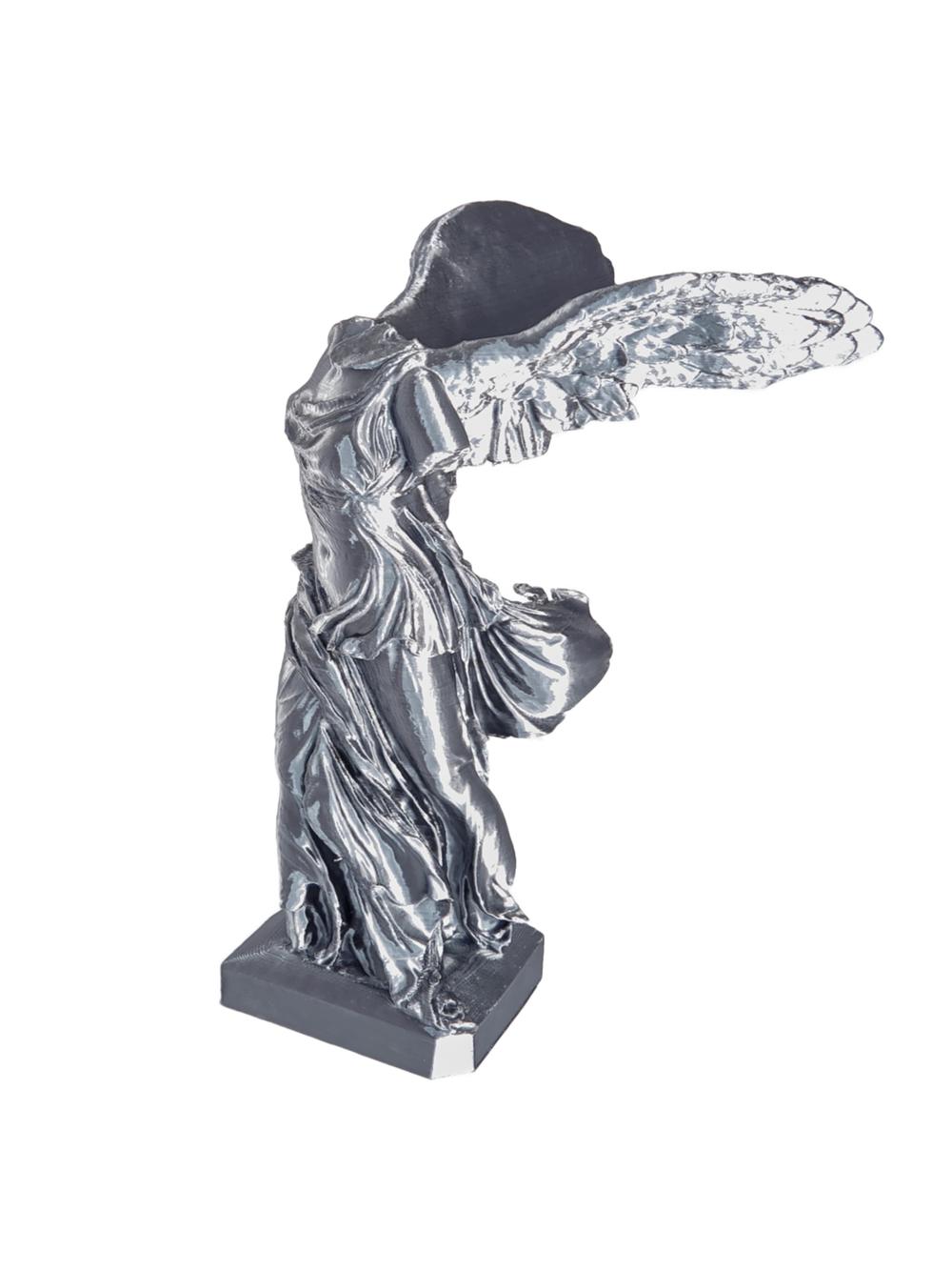FILAMENT 3D  PLA-Silk Steel (0.5kg / 1.75mm)