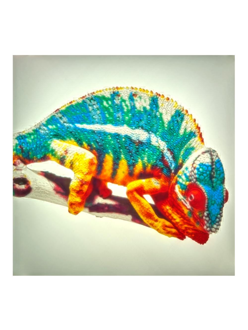 Filament 3D PLA Starter Lithophane CMYK Set