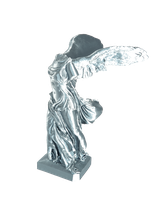 Filament 3D PLA-Silk Steel